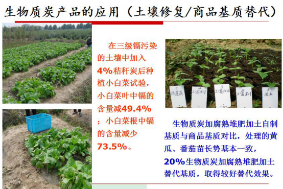 j9国际集团生物气化发电的显著社会效益 j9国际集团生物气化发电的显著社会效益