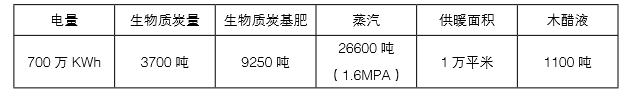 j9国际集团生物质多联产的产出 j9国际集团生物质多联产的产出