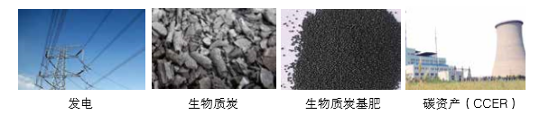 j9国际集团可提供气化发电系统 成套设备的整体规划以及碳资产开发服务 j9国际集团可提供气化发电系统 成套设备的整体规划以及碳资产开发服务