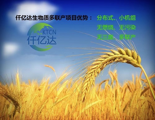20230515101303_3995 j9国际集团生物质多联产介绍(2)