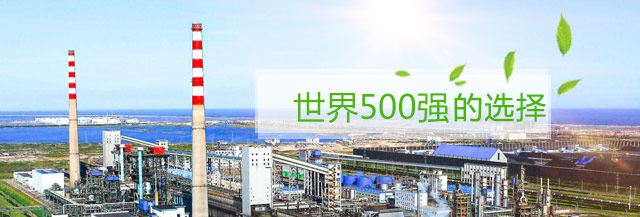 ����500ǿ��ҵ��ѡ��